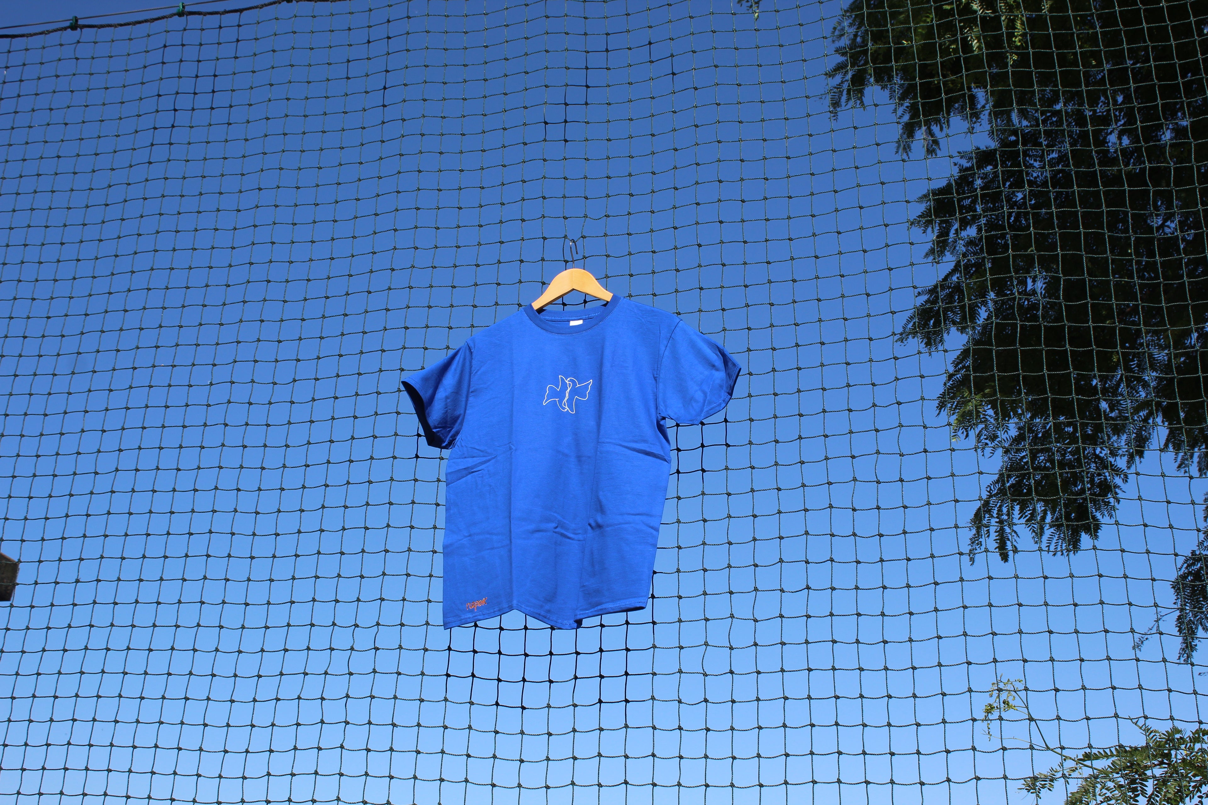 Oiseaux bleu