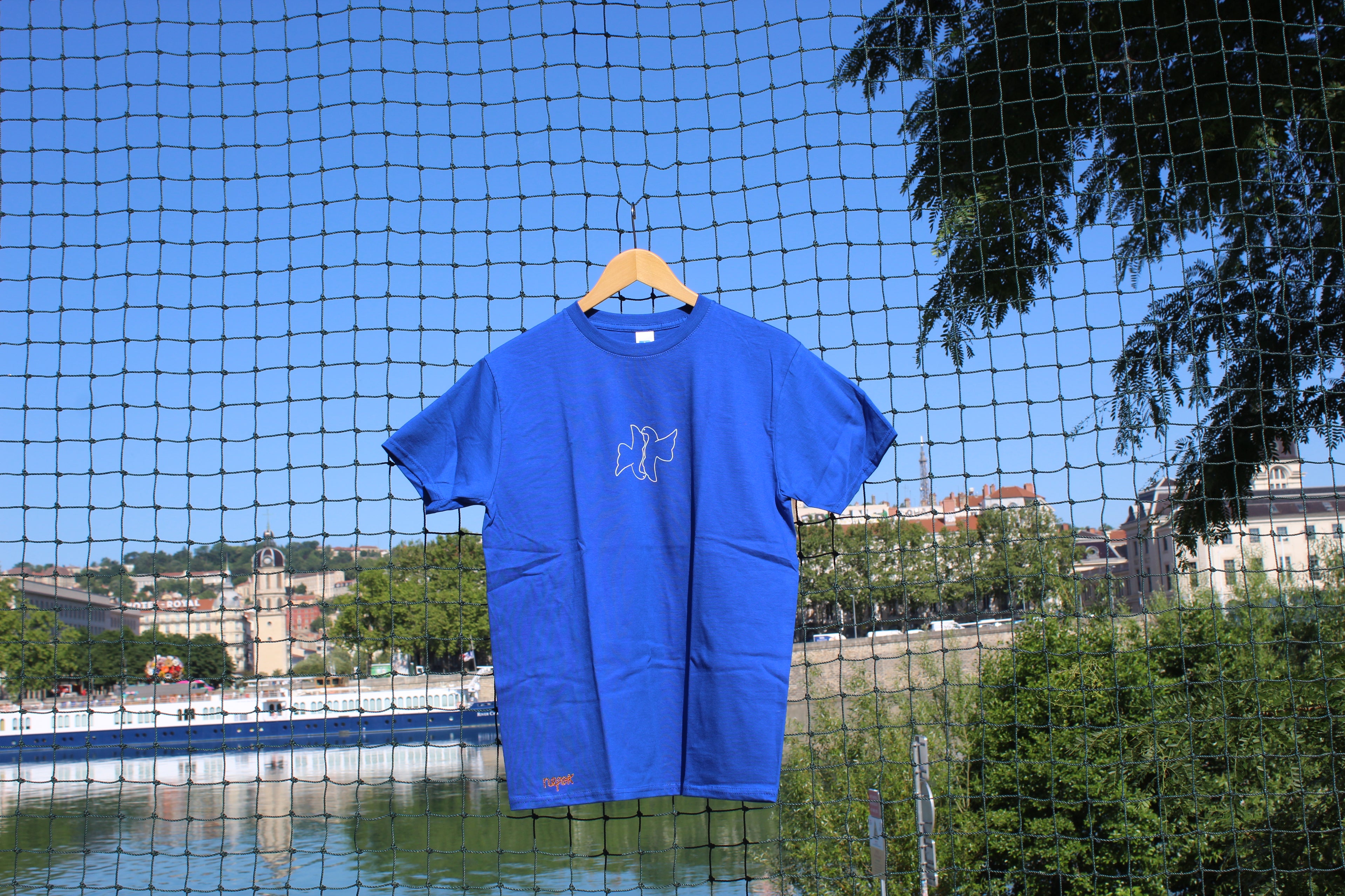 Oiseaux bleu