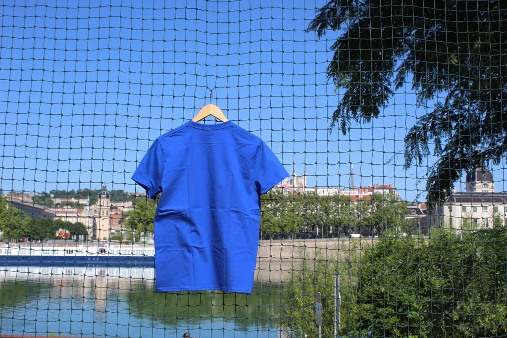 Oiseaux bleu