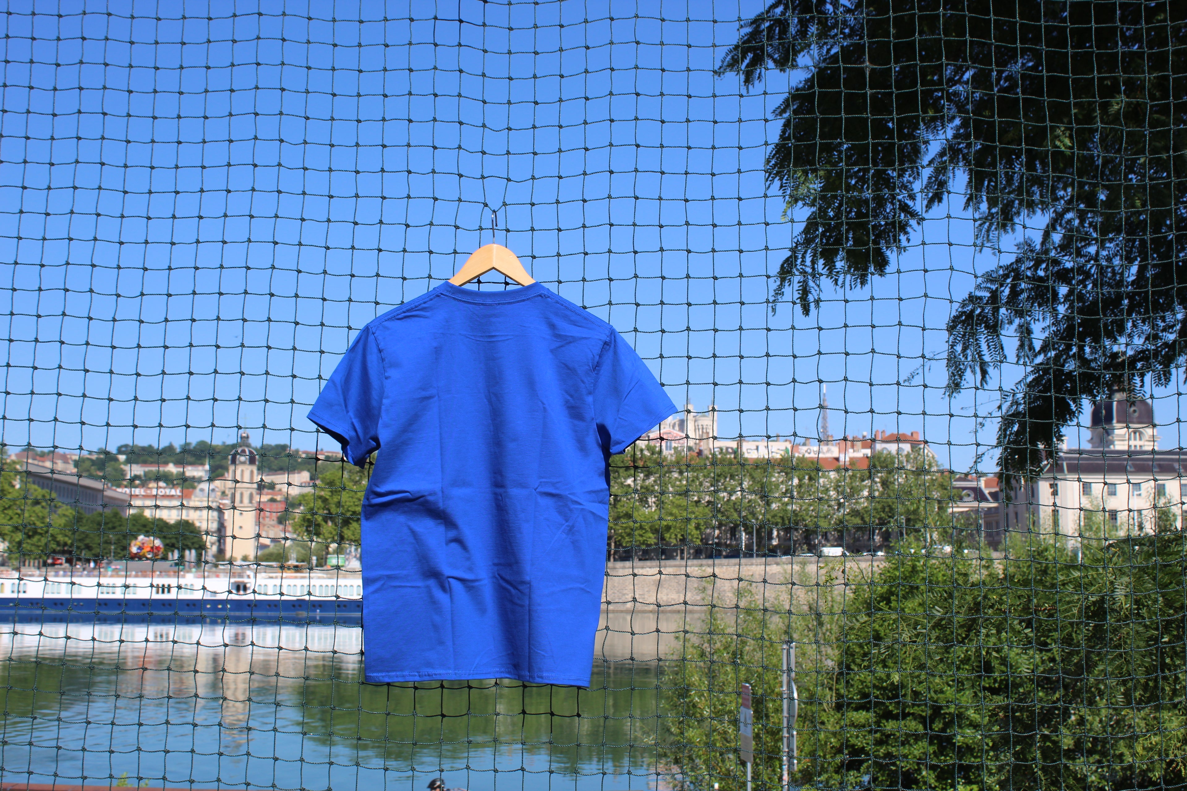 Oiseaux bleu